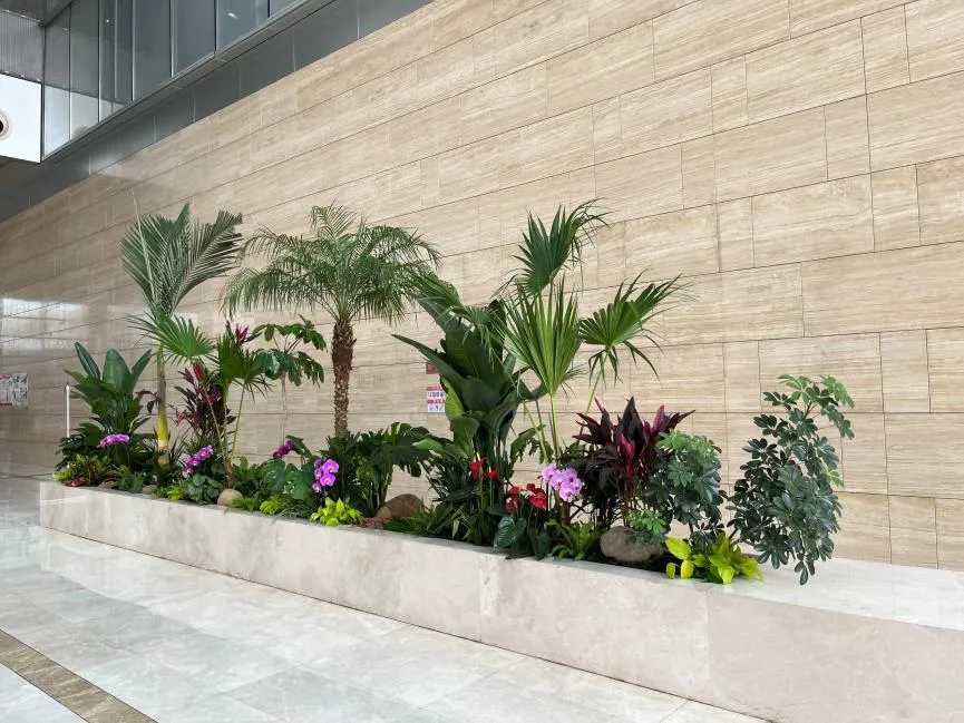 海曙花卉出租，给您别样的视觉盛宴